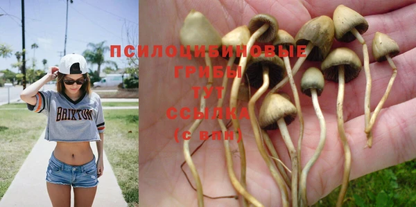 a pvp Абдулино