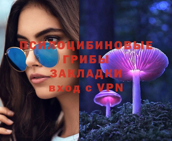 дживик Абинск